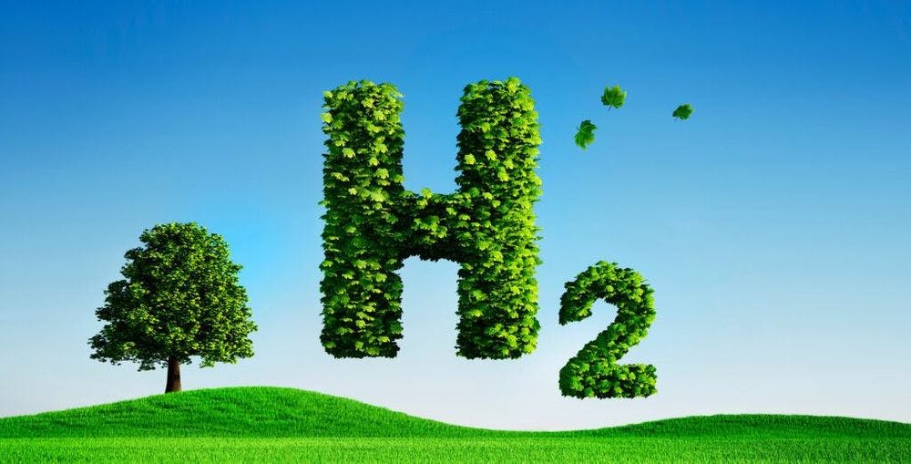 Ilustración de H2 formado por hojas sobre campo verde